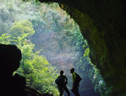 Where To Go Caving in Puerto Rico